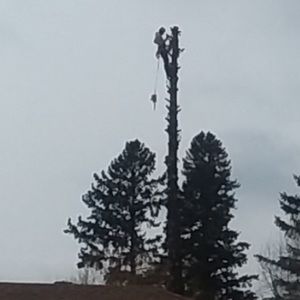 Meet your Posher, Nathan